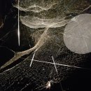 토마스 사라세노 <행성 그 사이의 우리> 이미지