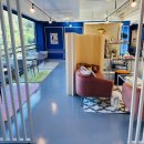 루이애견 이미지