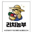 두손기획