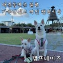 서울 근교 애견동반 프라이빗하게 식사할 수 있는 캠프데이즈
