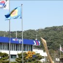 미소한근 헤럴드경제