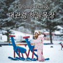 주식회사 대관령순수양떼목장 | 대관령 양떼목장 하늘목장 눈오는 날 가니 분위기 미쳤어요