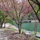 화악산장 이미지