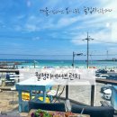 월정리에서브런치