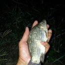 모아2리 이미지