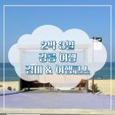 중앙트라이쌍방울 | [여행 코스]2박3일 여름 8월 강릉 여행 코스&경비