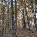 퇴촌면-5 이미지