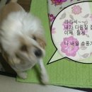 라라세탁소 이미지