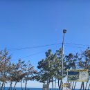 패밀리펜션 | 경주 감포 송아카라반 펜션, 패밀리카라반 9명이 단체펜션 다녀온 후기