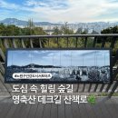 영축산순환산책로(유아숲) | [공지] 노원구 영축산 산책로 🌿 데크길 따라 걷는 건강한 힐링 코스