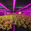 넥스트온 이미지