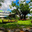 운곡허브 이미지