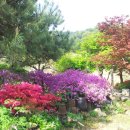 황룡농장 이미지