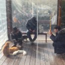 하미마을회관 | 고양이가 있는 제주 동쪽 동백꽃 명소, 김녕미로공원