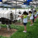 영조목장 이미지