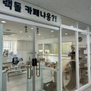 랙돌카페냐옹 이미지