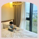 제주도 서귀포 가성비 좋은 호텔 추천 두돌 아이랑 방문 후기 타마라제주 호텔