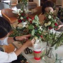 자뎅플라워
