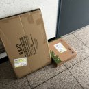 (주)코린 코리아 | [주간일기 ? 나는 월간일기] 졸업, 혼자 을왕리 해수욕장, 맥북 CPU 교체, 메종마르지엘라 레플리카...