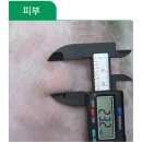 동물병원 이야기 | 광명동물병원 과잉진료 없는 아이숲동물병원 강아지 건강검진 후기