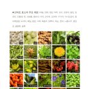 중성동113 이미지