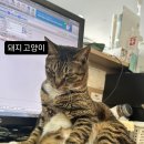 원주그린병원