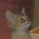 송도건국동물병원 이미지