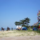 천사의섬