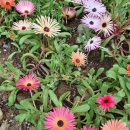 구산근린공원 이미지