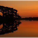 일출수산 이미지