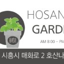 호산나꽃다육 이미지