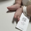 육아] 빈센트마켓 베이직라인 도장 후기