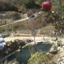 죽림농장 이미지