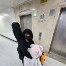 주문진게임장 이미지