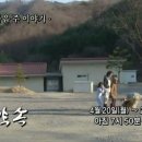 라라솔캠핑장 이미지