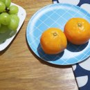 노지컴퍼니