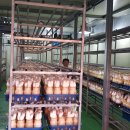 성무농장 이미지