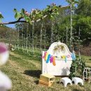 가자농장 이미지