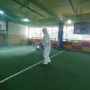 안중태권도장 이미지