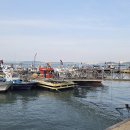 채석포항 이미지