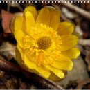 영산강농장 이미지