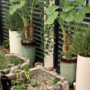 목동중앙본로 | [목동역 카페] 양천구카페 카스테라인절미 '카페 후후' 후기! (+ 주차장 위치 꿀팁)