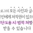 골드인라인빙상스포츠 이미지