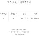 스테이 하무이 네이버블로그