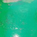 방수1길 이미지