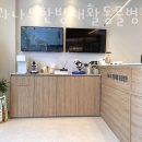 나무동물병원 이미지