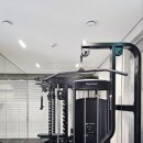 MUT GYM 이미지