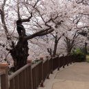 토론으로 지구 한 바퀴 이미지