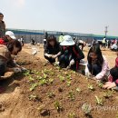 금천농장 이미지