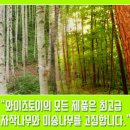 고래등어린이집 이미지